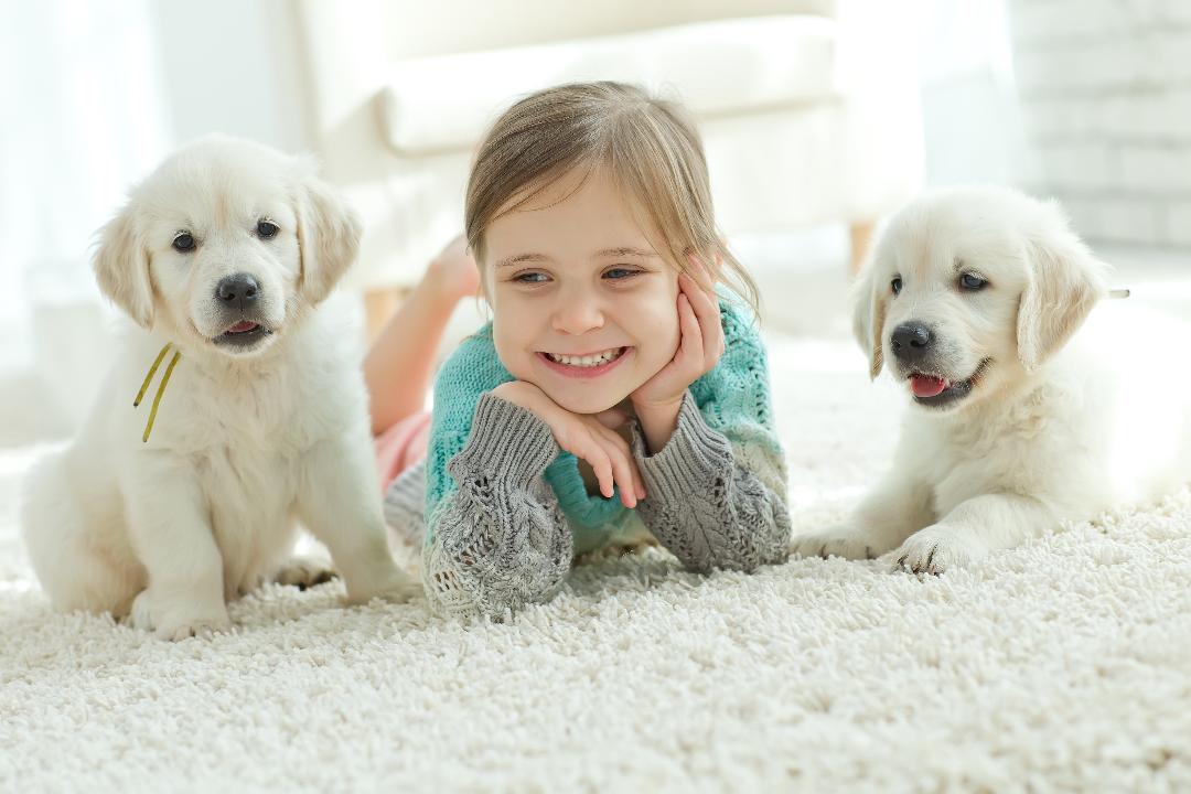Little Girl with puppies